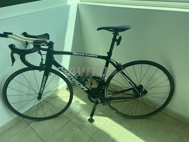 Vélo CARBON MERIDA 5000 Carbon SCULTURA Lampre T52