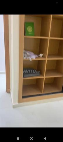 Appart neuf à louer à Sidi Lot The Loft - 2