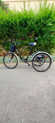 Vélo électrique tricycle - 2
