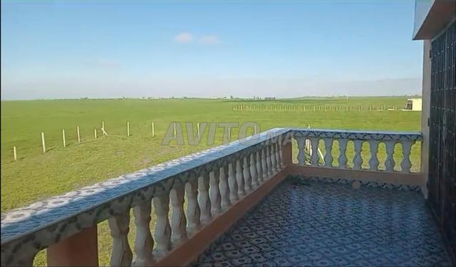 مزرعة حديثة - 2