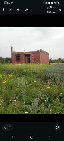 المحاميد الحسنى