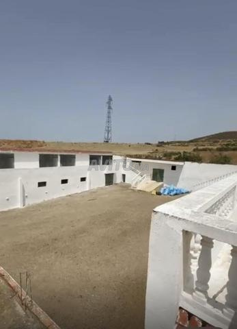 Terre agricole à vendre près de Tanger - 2