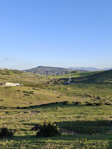 Terre agricole à vendre près de Tanger