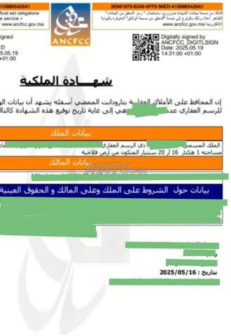 أرض مسجلة للبيع 12.000م2 - 2