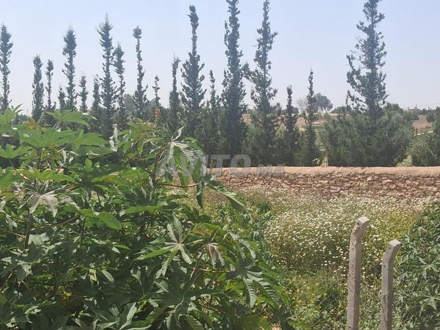 أرض جميلة مسجلة مع مخطط ورخصة بناء. - 2