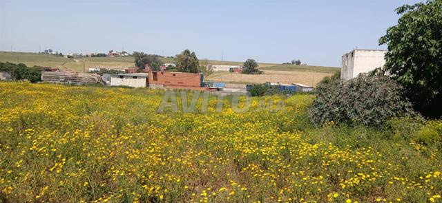 أولاد عزوز طريق الجديدة رقم 1 - 2