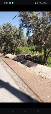 Lot terrain agricole à vendre - 2