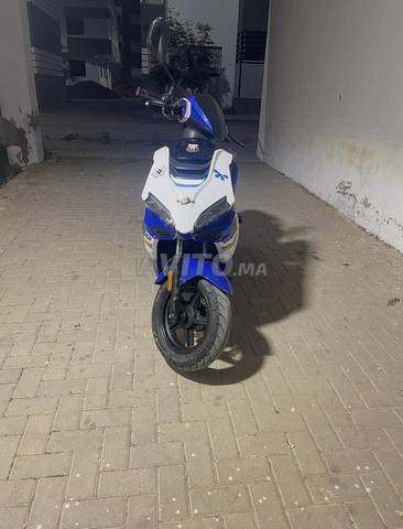 إيتاليكا تايجر - 2