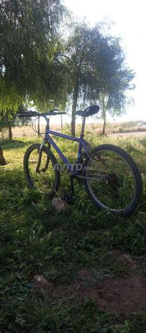 Vélo ordinaire, bon paquet, 150 dirhams