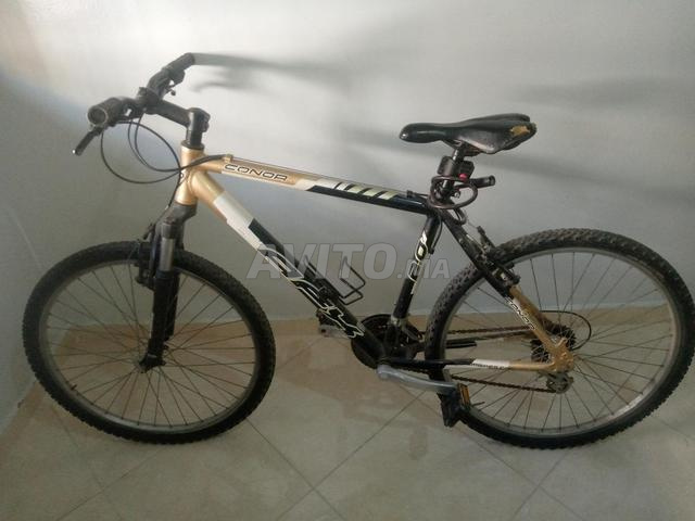 La Miséricorde La Perle Verte - 2