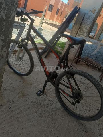 Site Adrajet Tiznit 🔻 Tiznit - 2