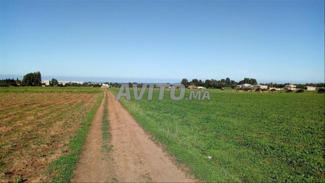 Terrains titrés à Sidi Rahal - 2