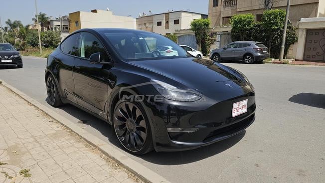tesla mod y performance