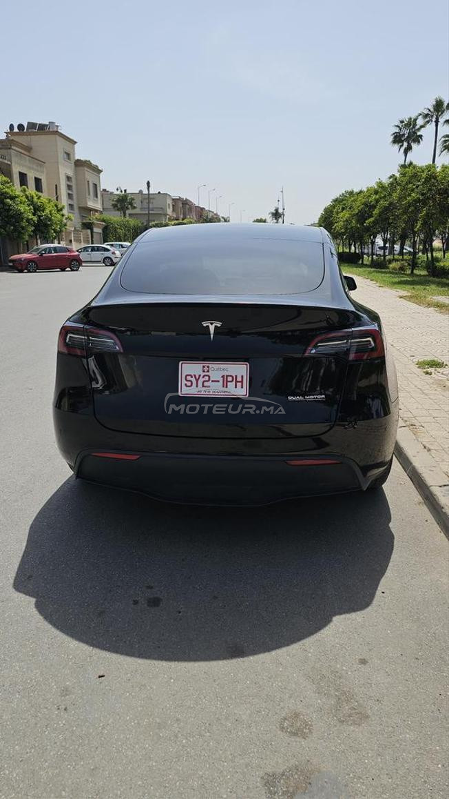 tesla mod y performance