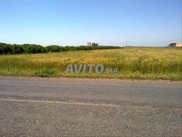 أراضٍ فلاحية محفظة وفيلات للبيع ببئر جديد - 2