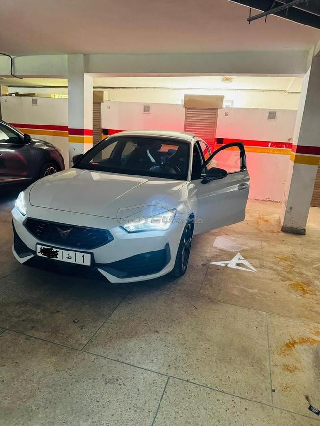 cupra 2024 