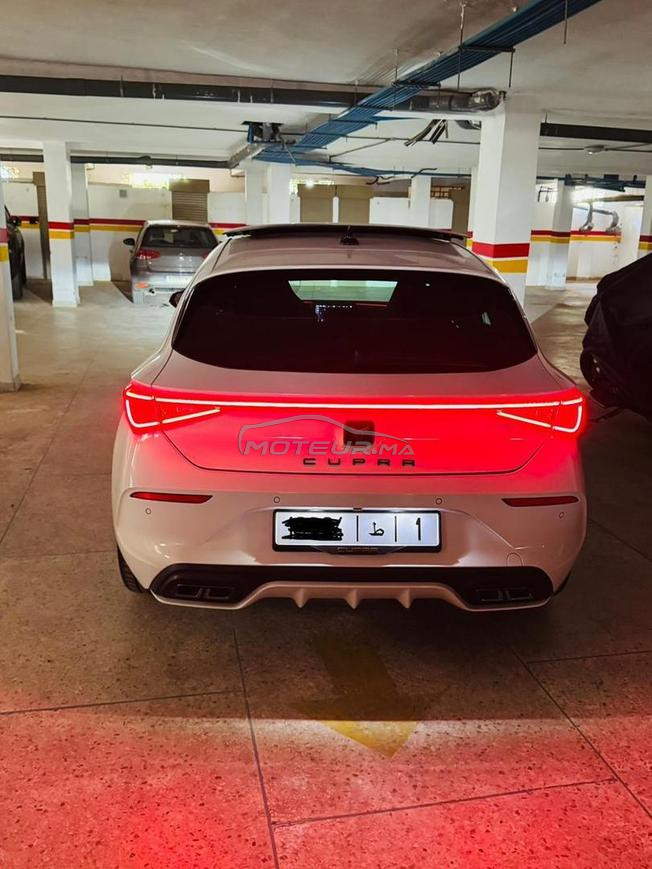 cupra 2024 