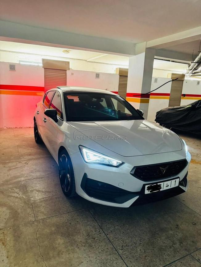 cupra 2024 
