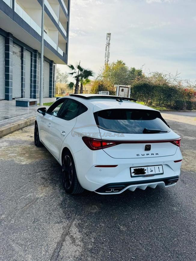 cupra 2024 