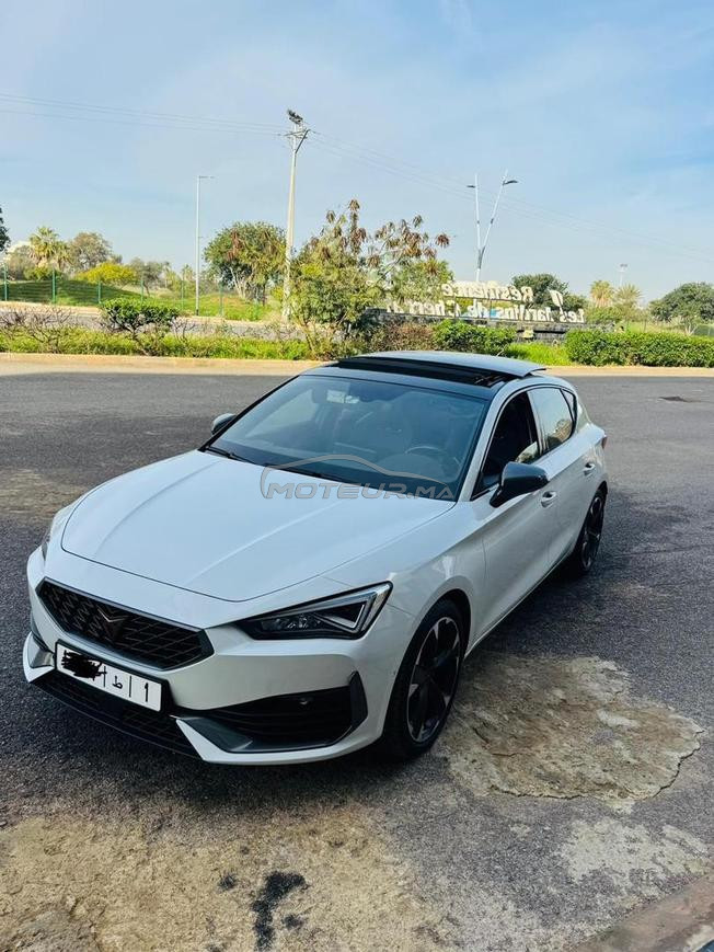 cupra 2024 
