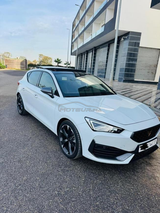 cupra 2024 