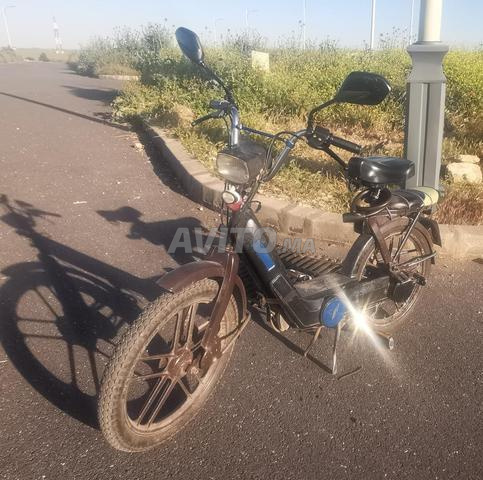 بيلاجيو سياو 98