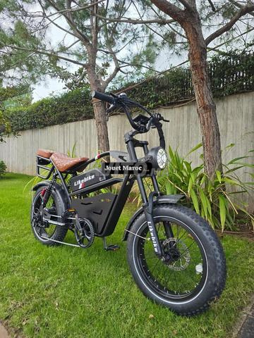 هارلي دراجة نارية - 2