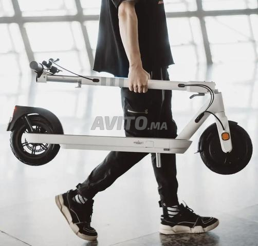 Vente en gros et au détail - 2