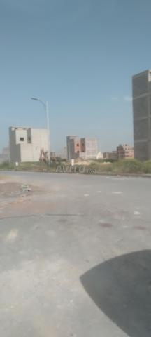 Terrain commercial Nasim près de Sultana - 2