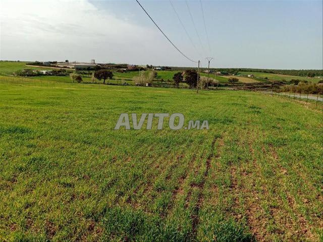 Vente de terrains titrés - Sidi Rahal - Vue sur mer