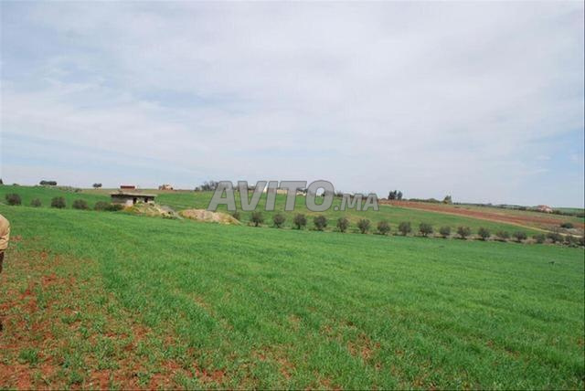 بيع أراضي ومزارع — سيدي رحال - 2