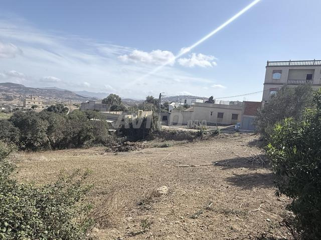 بقعتين أرضيتين 300 و 306 متر - 2