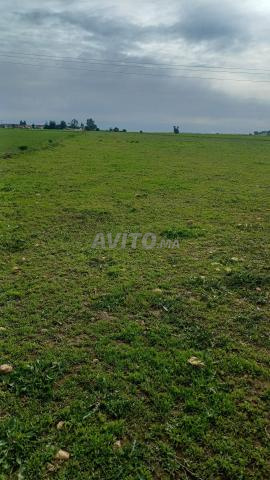 نصف هكتار بجوار محطة الأداء اثنين شتوكة - 2