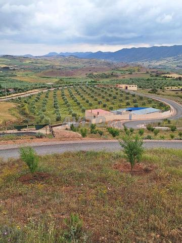 بيع مزرعة على طريق سيس أوم رابي - 2