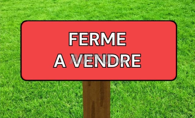 Ferme de 1,25 hectares situé à Kamouni avec villa