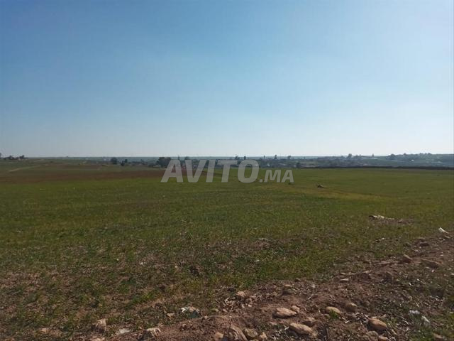 Trois terrains agricoles Titre route Had Oulad Ferraj - 2