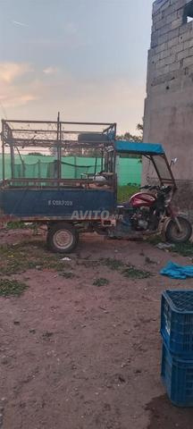 Tricycle en bon état - 2