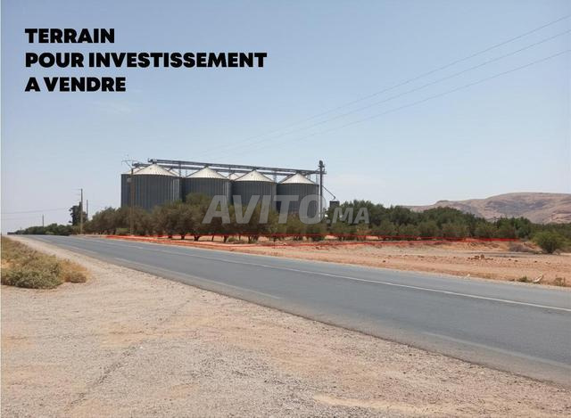 Terrain de 1 hectare à vendre - 2