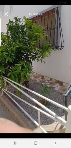 منزل R1 بحديقة صغيرة وشرفة - 2