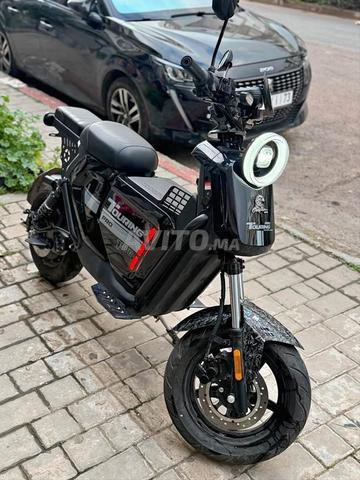 Hay Mohammadi, Casablanca