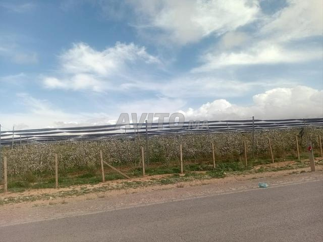 أرض فلاحية - 2