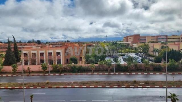 شقة فارغة للإيجار