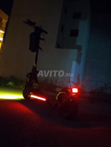 Trottinette Bison Ecoextreme, bonne qualité - 2