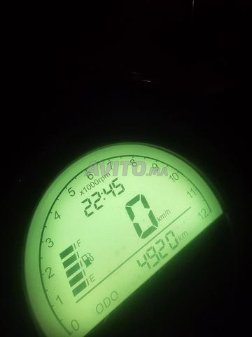 كابتشينو إس للبيع - 2