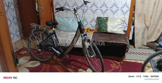 Vélo électrique Sparta - 2