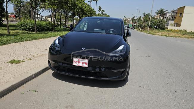 tesla mod y performance