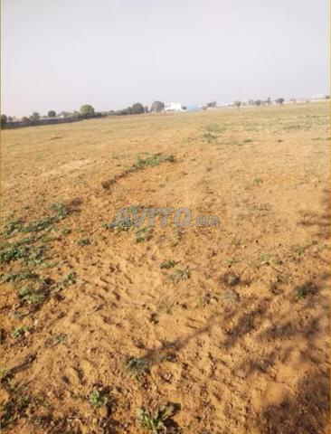 بقعة أرضية للبيع - 2