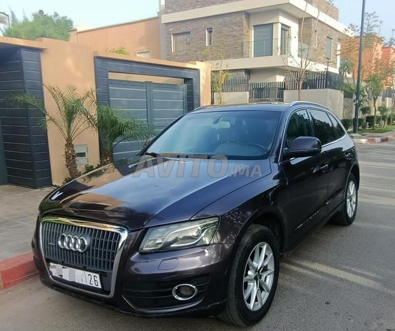 Marrakech Palmier - 2