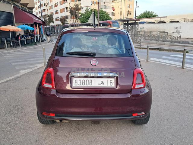 فيات 500 بنزين يدوية - 2