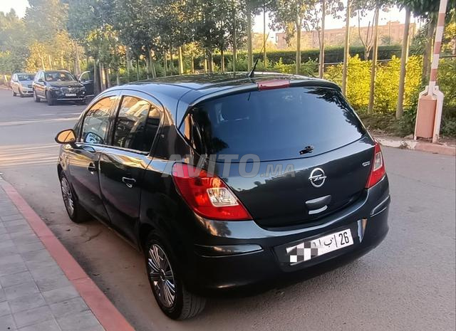 مراكش النخيل